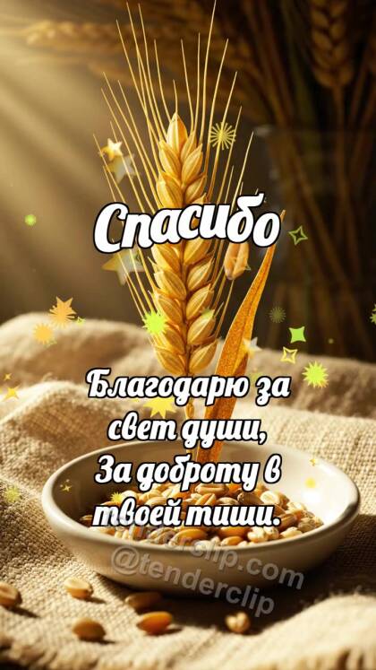 Спасибо: Колосок дарит зёрнышко