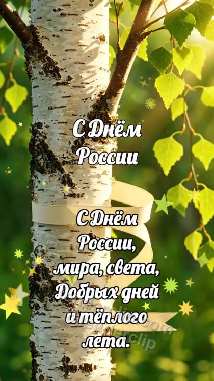С Днём России: Берёза держит ленту