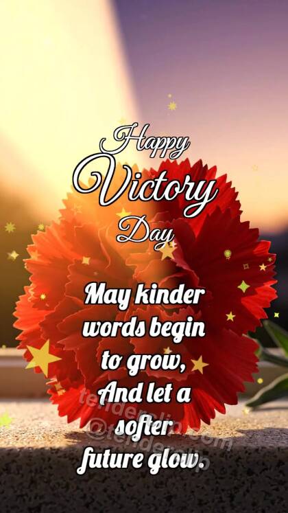 Happy Victory Day: Carnation Catches Dawn