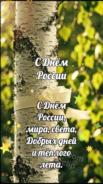 С Днём России: Берёза держит ленту