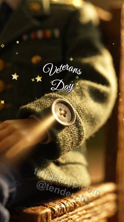 Veterans Day: Button Catches Dawn