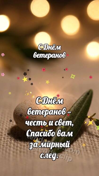 С Днём ветеранов: Мирная галька хранит свет