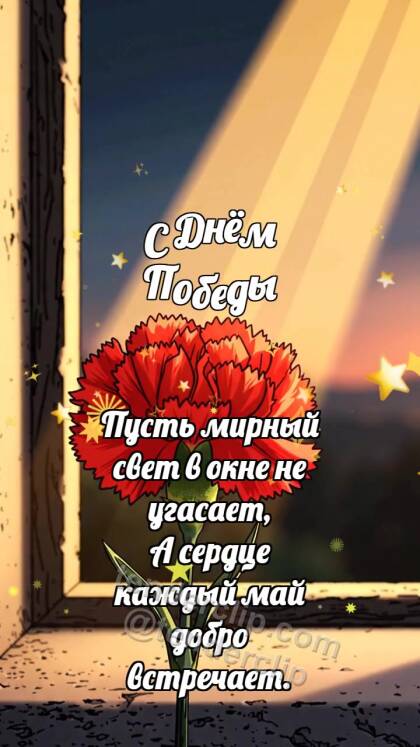 С Днём Победы: Гвоздика ловит рассвет