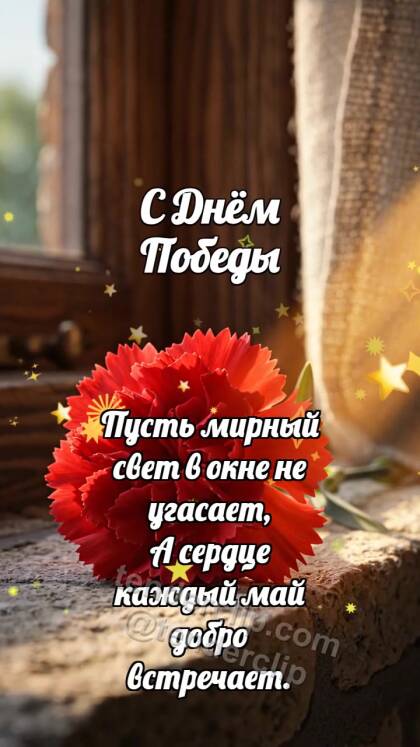 С Днём Победы: Гвоздика ловит рассвет