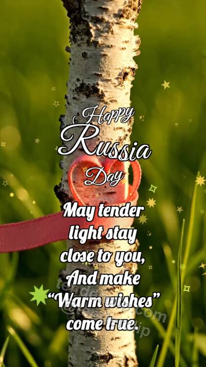 Happy Russia Day: Birch Holds Ribbon