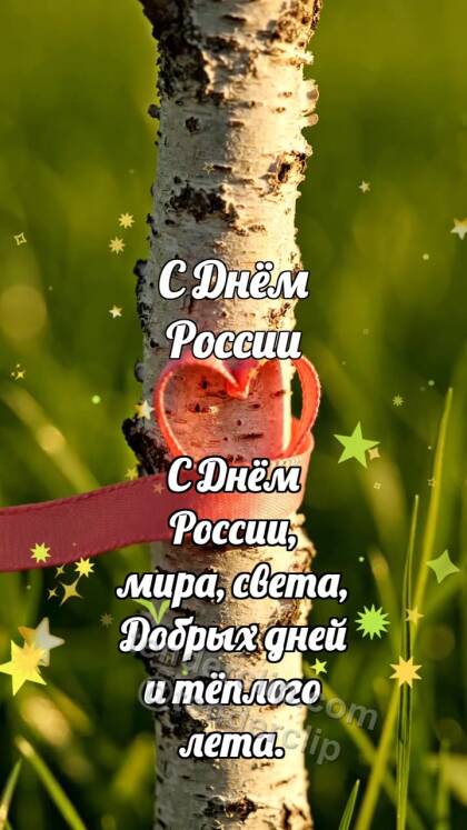 С Днём России: Берёза держит ленту
