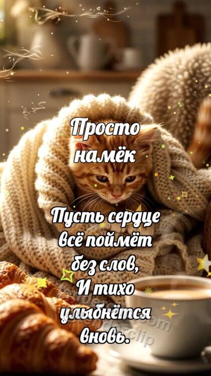 Просто намёк: Котёнок под большим пледом