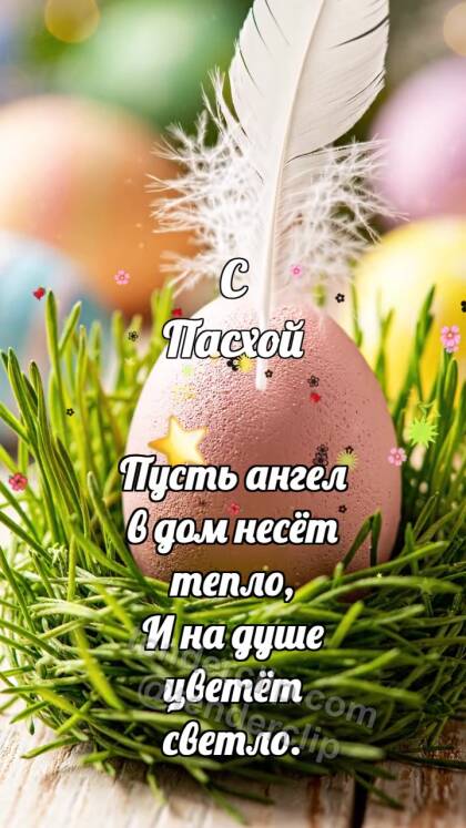 С Пасхой: Яйцо ловит перышко