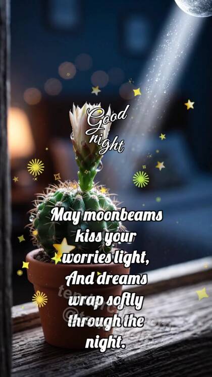 Good night: Cactus Catches Moon