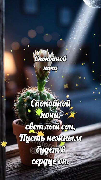 Спокойной ночи: Кактус ловит луну