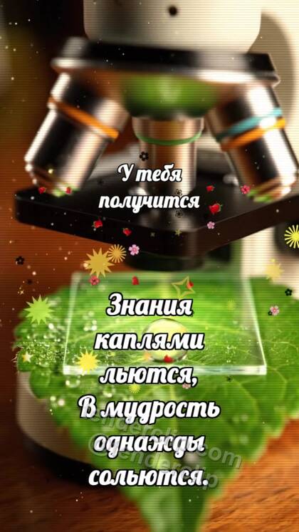 У тебя получится: Микроскоп ловит росу