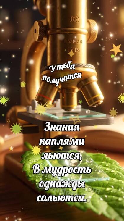 У тебя получится: Микроскоп ловит росу