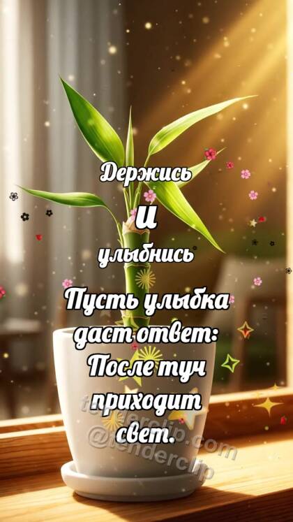 Держись и улыбнись: Бамбук выпрямляет лист