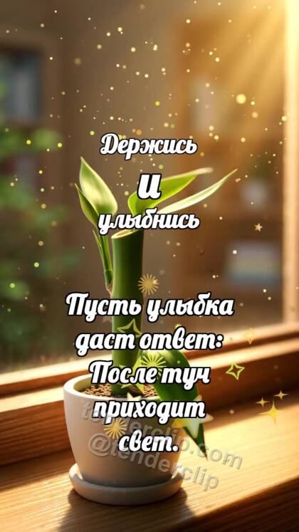Держись и улыбнись: Бамбук выпрямляет лист