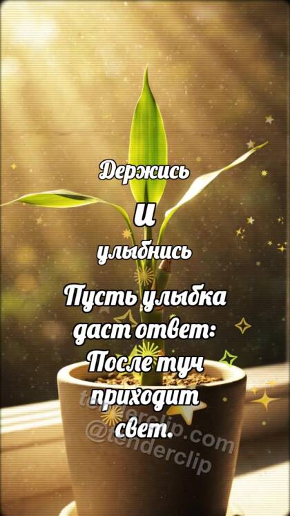 Держись и улыбнись: Бамбук выпрямляет лист