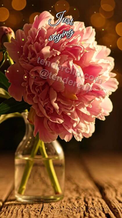Just saying: single flower waits