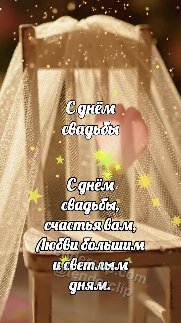 Анимационная открытка на тему С днём свадьбы: Фата ловит лепесток