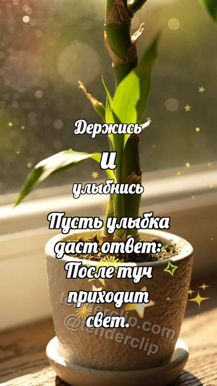 Анимационная открытка на тему Держись и улыбнись: Бамбук выпрямляет лист