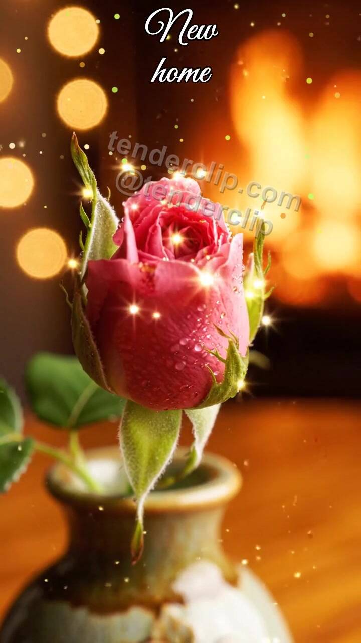 Animated greeting card about New home: flower bud opens