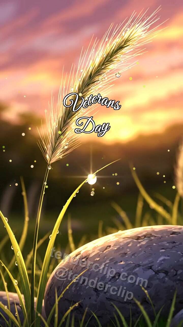 Animated greeting card about Veterans Day: Feather Grass Holds Dew