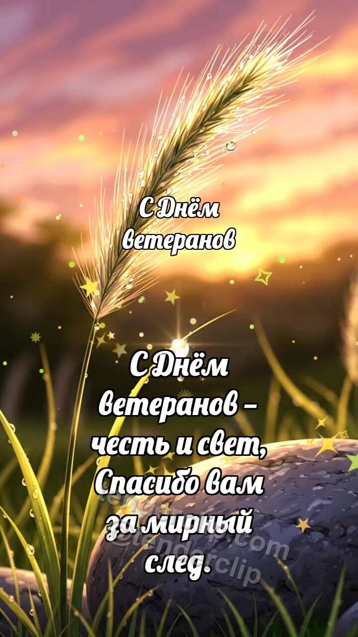 Анимационная открытка на тему С Днём ветеранов: Ковыль держит росинку