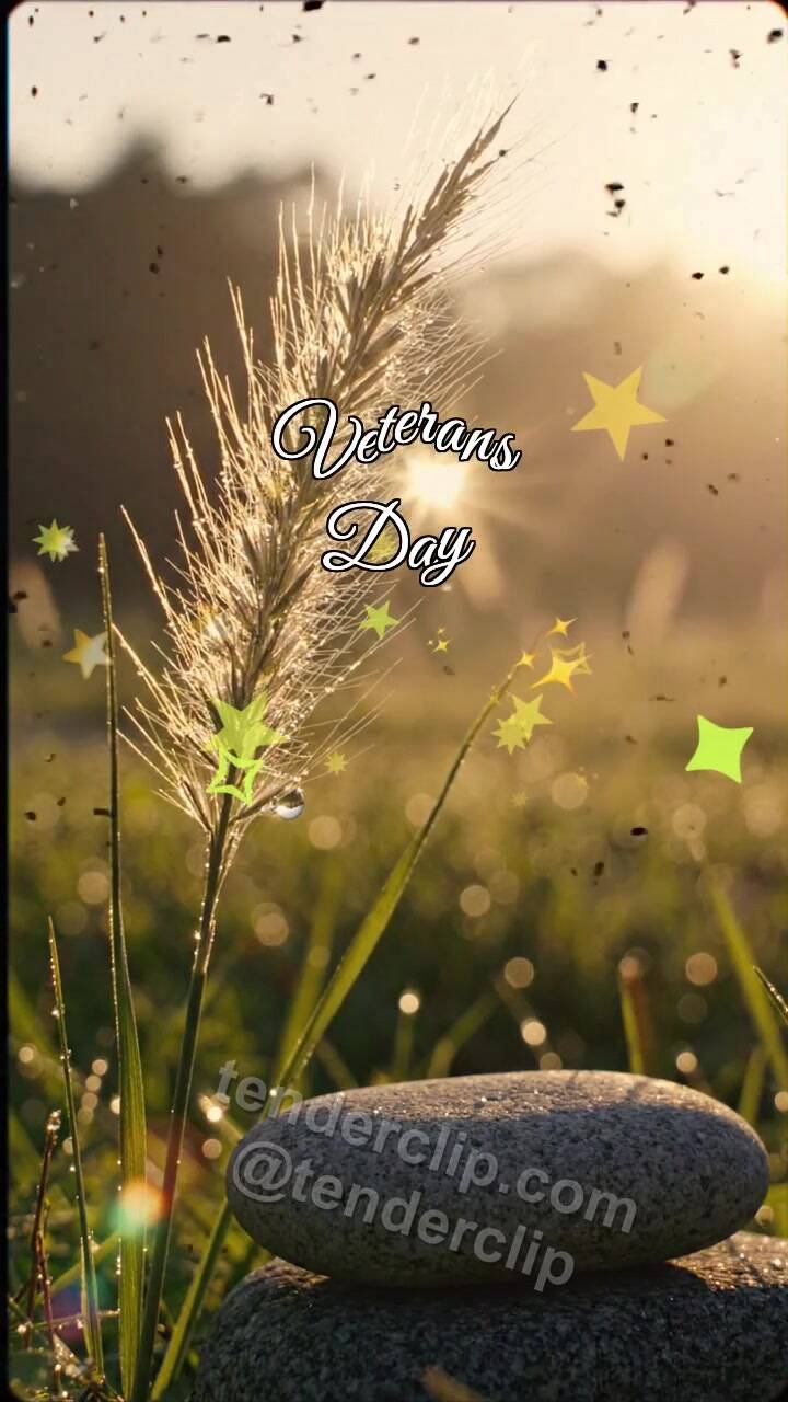 Animated greeting card about Veterans Day: Feather Grass Holds Dew