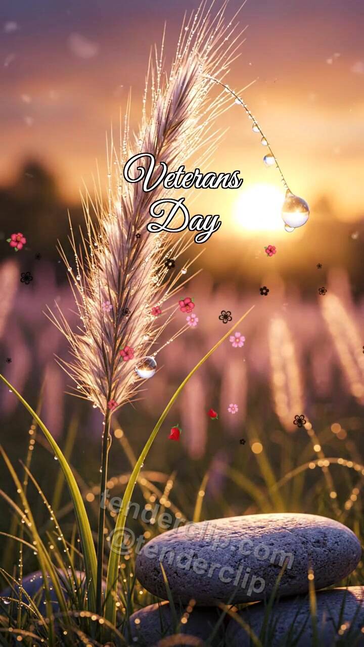Animated greeting card about Veterans Day: Feather Grass Holds Dew