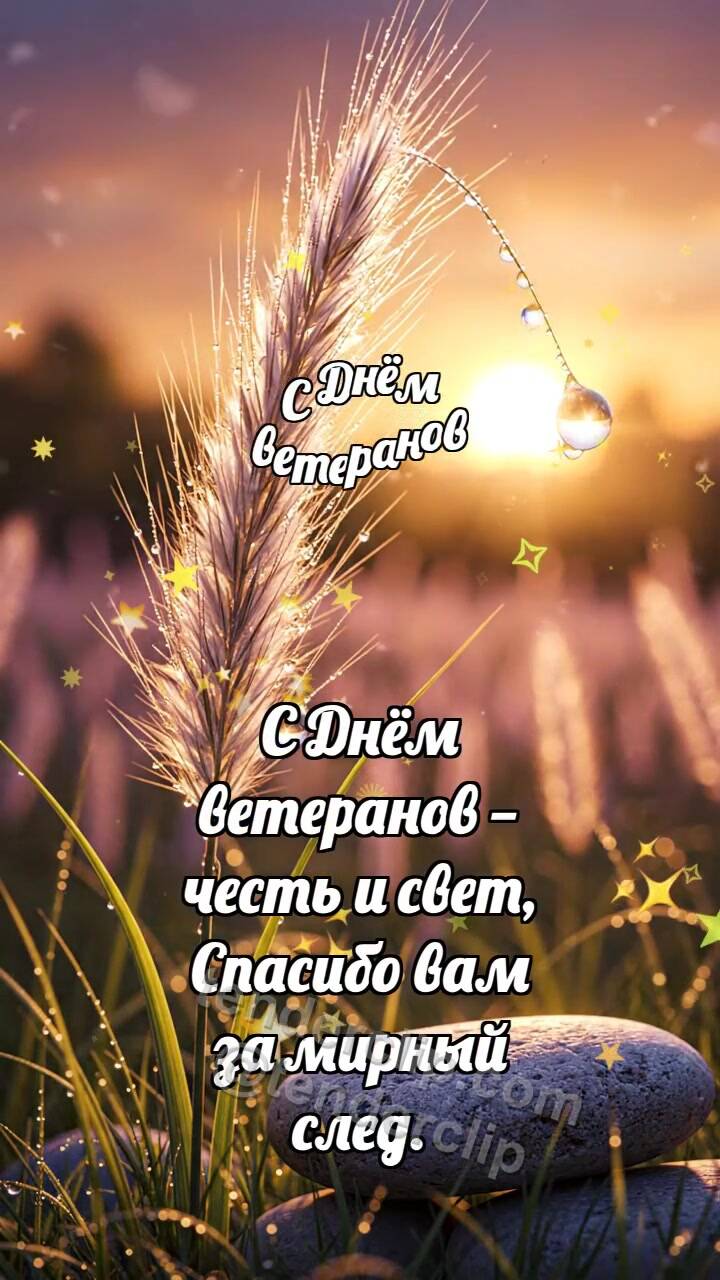 Анимационная открытка на тему С Днём ветеранов: Ковыль держит росинку