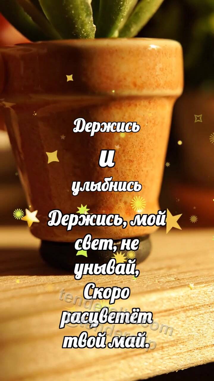 Анимационная открытка на тему Держись и улыбнись: Резиновая опора держит горшок