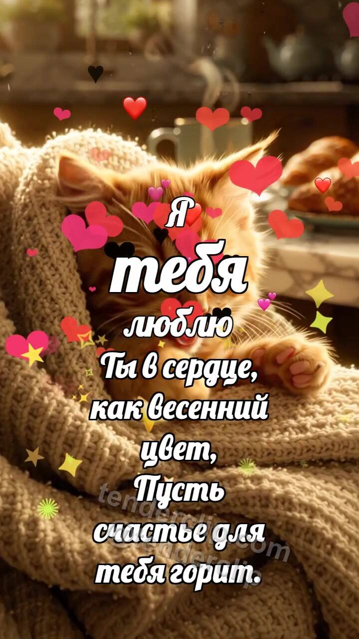 Анимационная открытка на тему Я тебя люблю: Котёнок под большим пледом