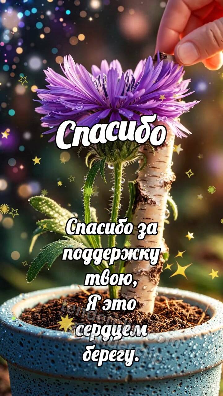 Анимационная открытка на тему Спасибо: Берёзовый подпор выпрямляет цветок
