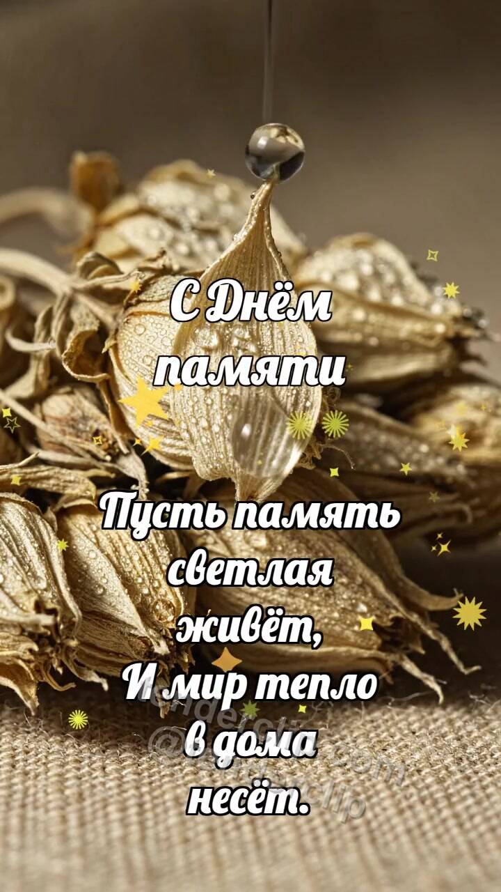 Анимационная открытка на тему С Днём памяти: Бессмертник держит тишину