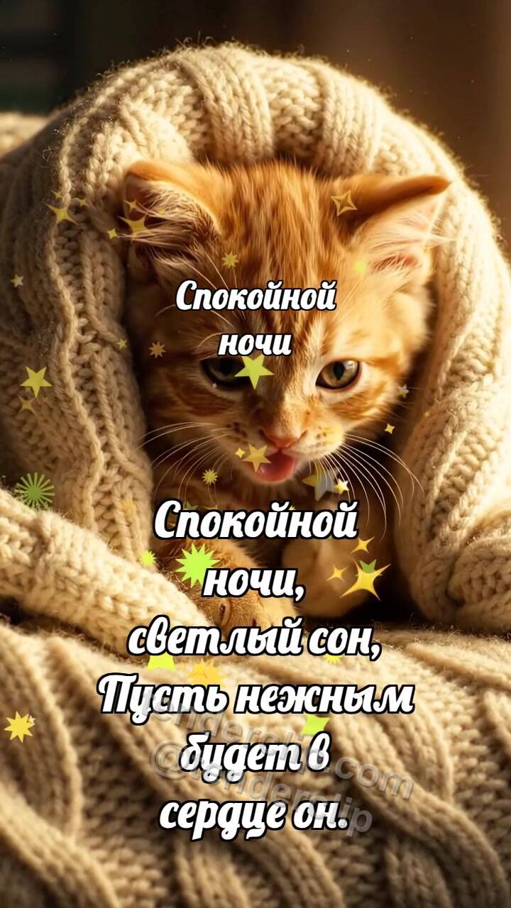 Анимационная открытка на тему Спокойной ночи: Котёнок под большим пледом