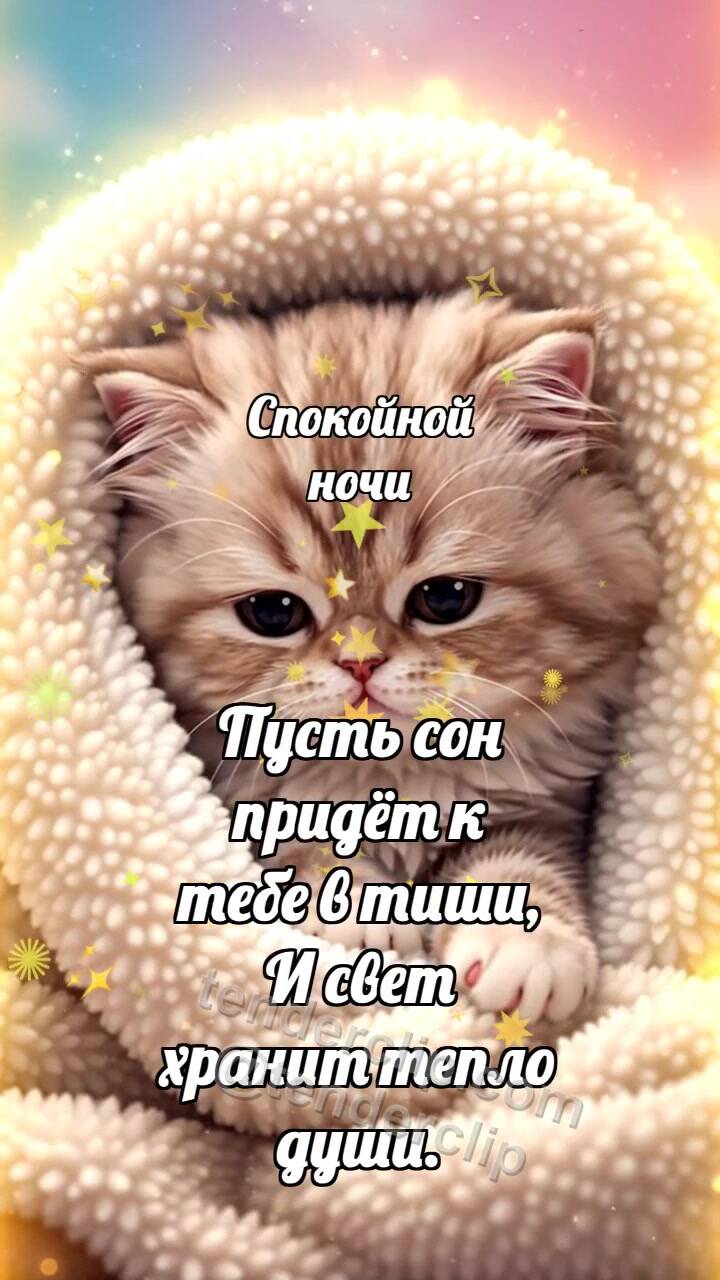 Анимационная открытка на тему Спокойной ночи: Котёнок под большим пледом