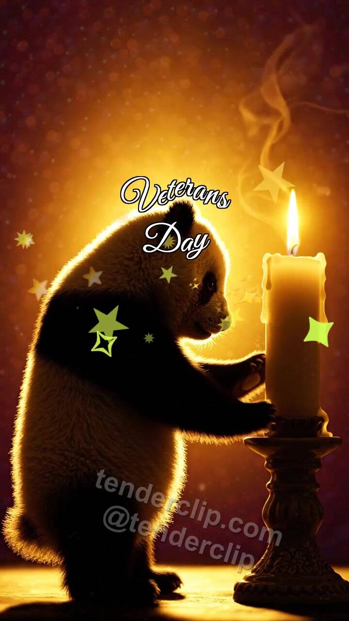 Animated greeting card about Veterans Day: Panda Cub By Memory Candle