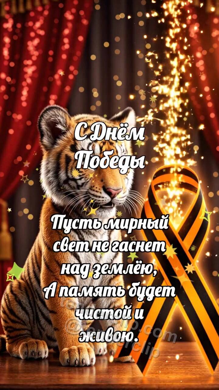 Анимационная открытка на тему С Днём Победы: Тигрёнок у ленты памяти