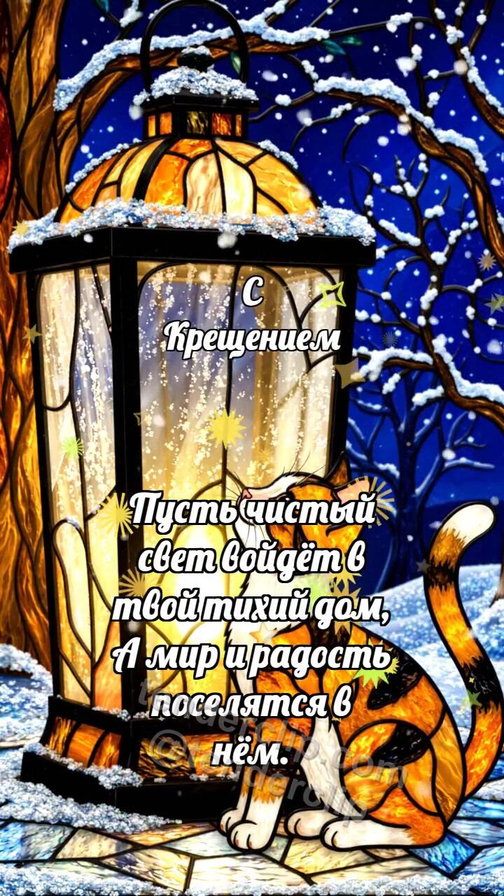 Анимационная открытка на тему С Крещением: Котёнок у зимнего фонаря