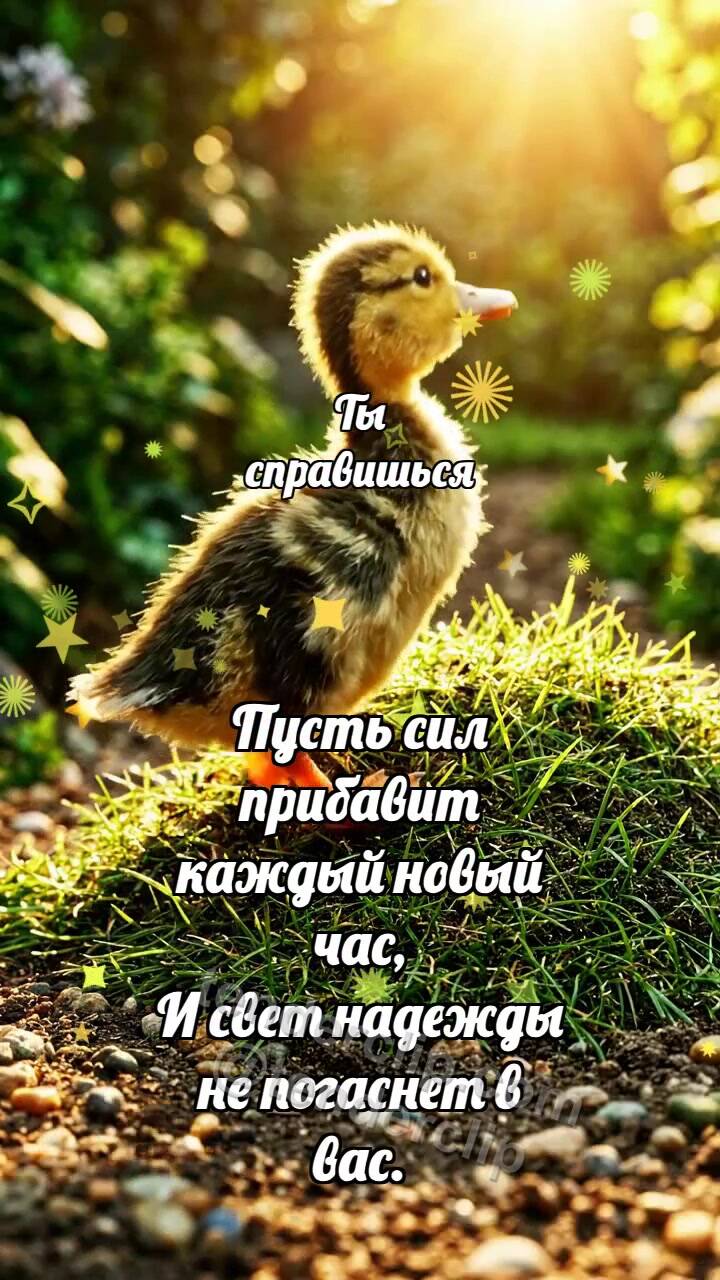 Анимационная открытка на тему Ты справишься: Утёнок идёт к свету