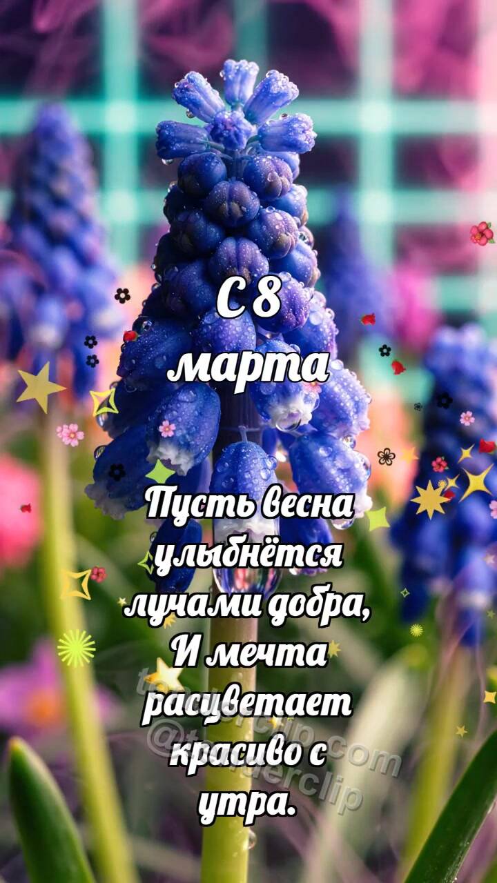 Анимационная открытка на тему С 8 марта: Мускари открывает каплю