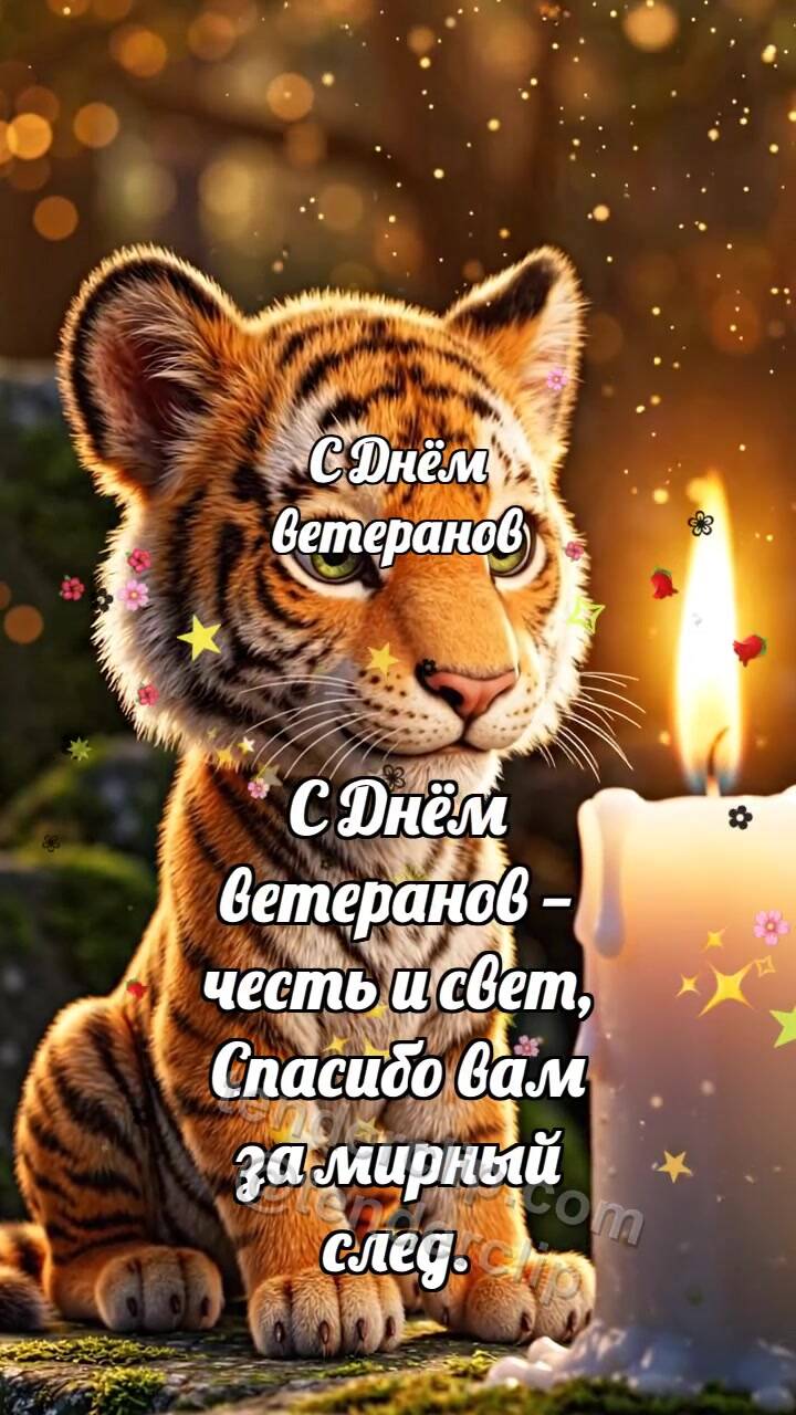 Анимационная открытка на тему С Днём ветеранов: Тигрёнок у свечи памяти
