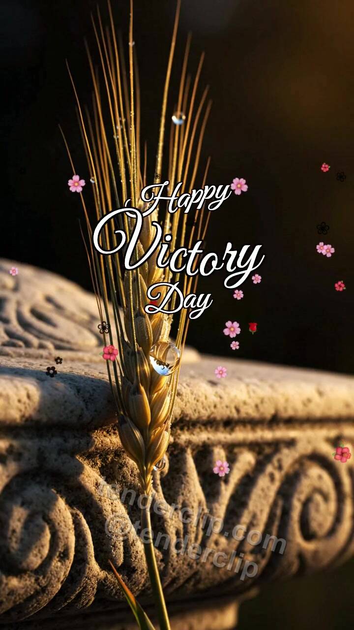 Animated greeting card about Happy Victory Day: Barley Awn Glows