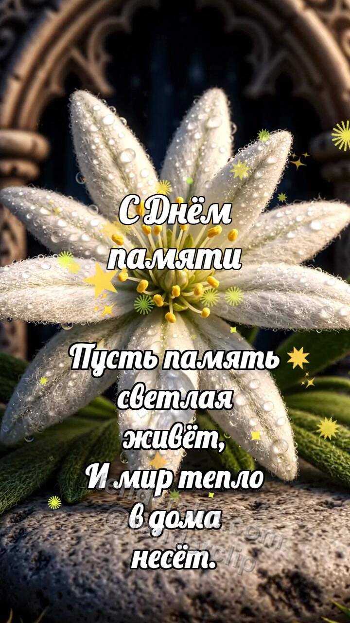 Анимационная открытка на тему С Днём памяти: Эдельвейс хранит тишину