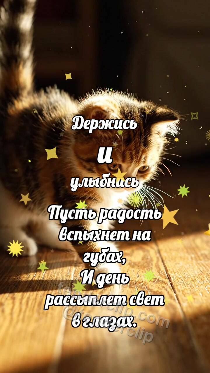 Анимационная открытка на тему Держись и улыбнись: Котёнок ловит солнце