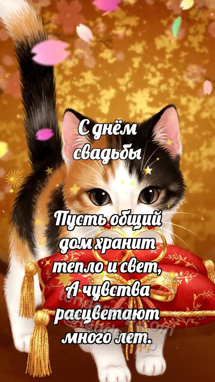 Анимационная открытка на тему С днём свадьбы: Котёнок несёт кольца
