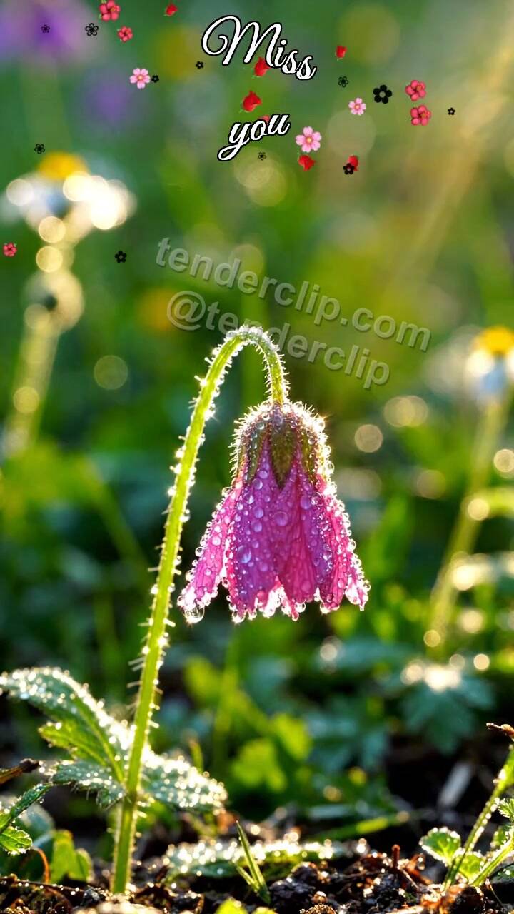 Animated greeting card about Miss you: Flower Droop Rise