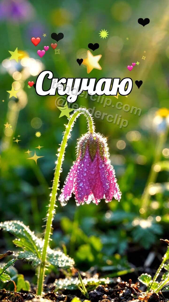 Анимационная открытка на тему Скучаю: цветок поднимается к солнечному лучу