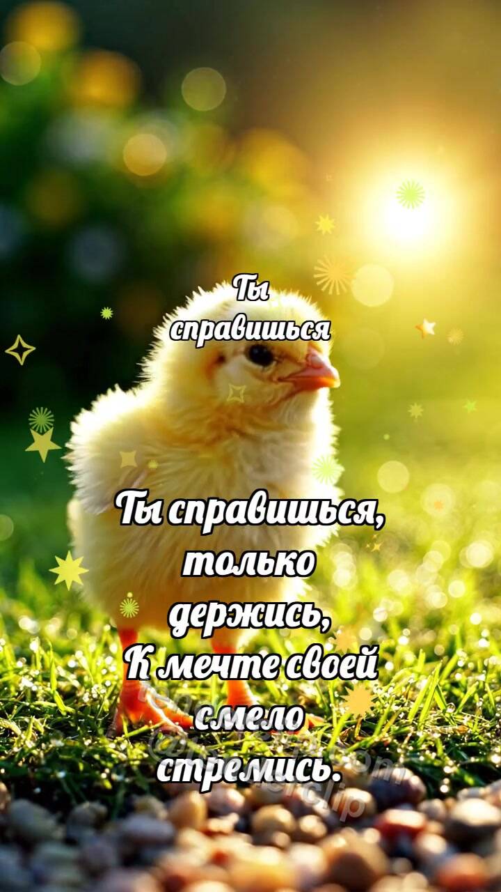 Анимационная открытка на тему Ты справишься: Цыплёнок находит солнце
