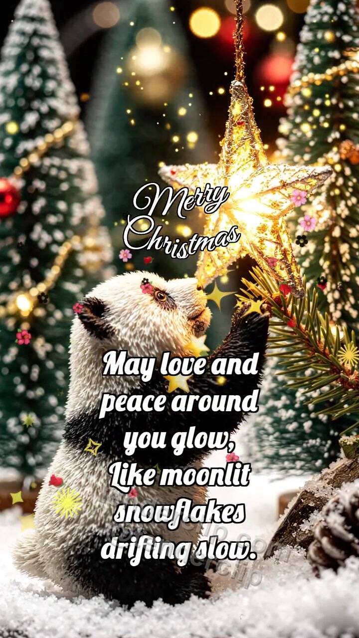 Animated greeting card about Merry Christmas: Panda Cub By Christmas Star