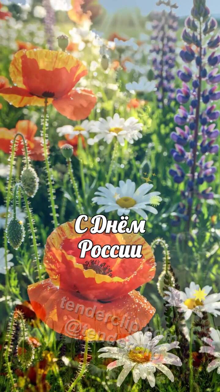Анимационная открытка на тему С Днём России: летнее небо раскрывается над цветами