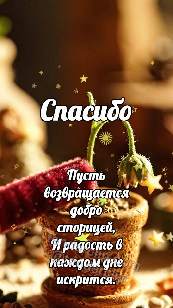 Анимационная открытка на тему Спасибо: Бархатный подпор держит стебелёк